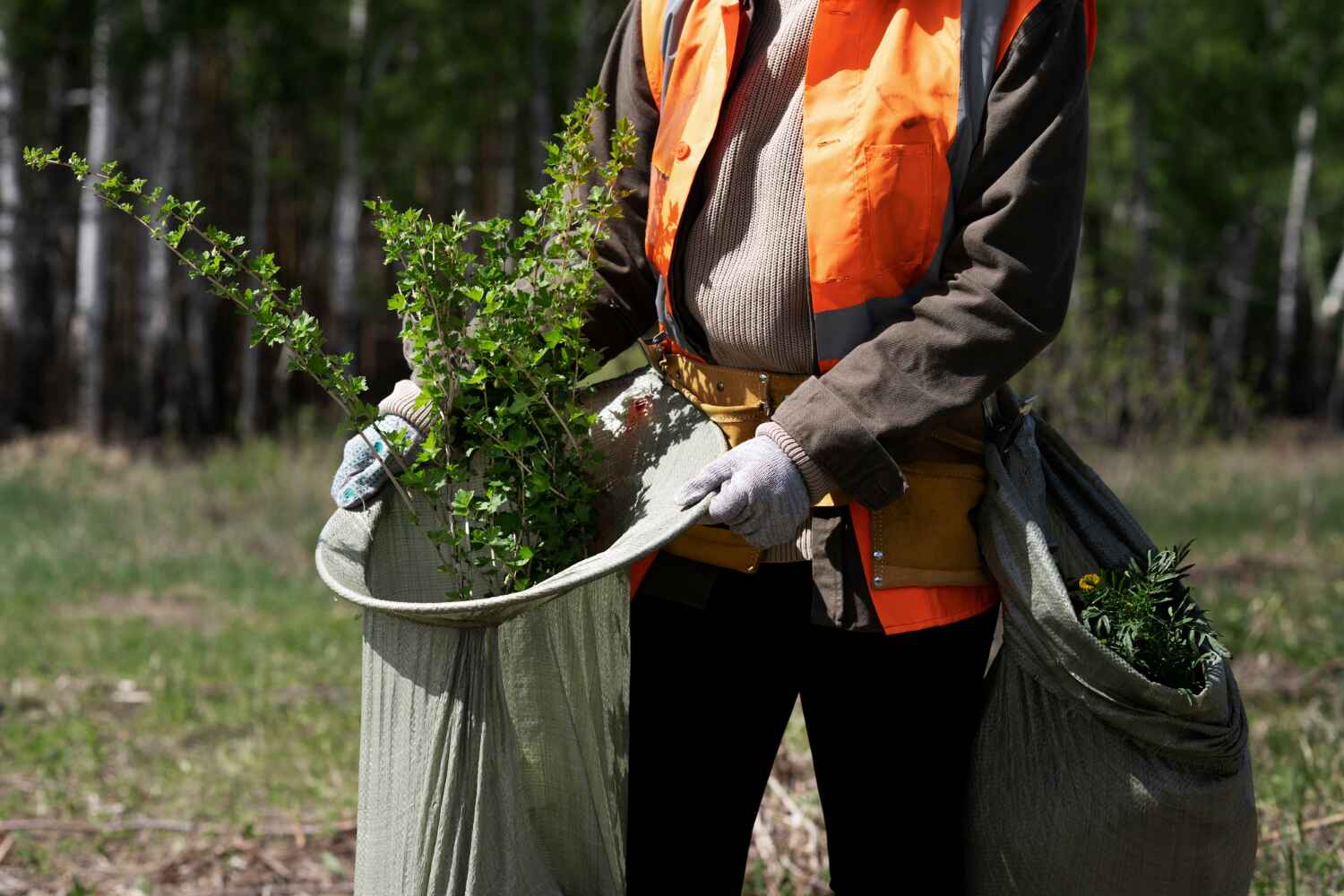 Best Tree Care Services  in Lindenhurst, IL